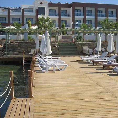 Turiya Hotell