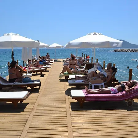 Turiya Turgutreis