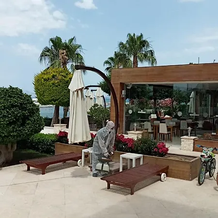 מלון Turiya