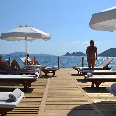 Hotell Turiya