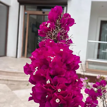 Turiya Hotel